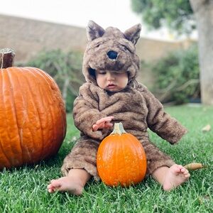 Pottery Barn Kids Wizard of Oz Toto Costume